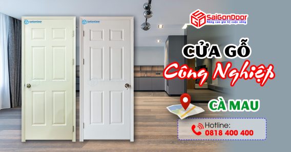 Cập Nhật | Những Thông Tin Chi Tiết Về Cửa Gỗ Công Nghiệp Cà Mau